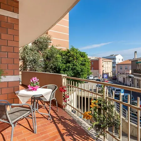 Casa Arborensia *
